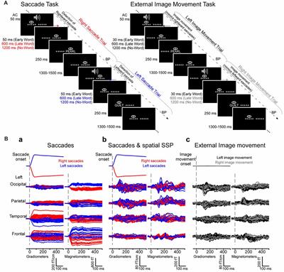 Left-Lateralized Contributions of Saccades to Cortical Activity During a One-Back Word Recognition Task